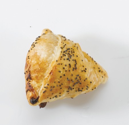 ביס טורקי פטריות