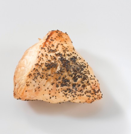 בורקס טורקי פטריות