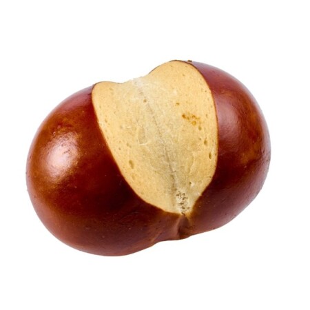 ביס פרצעל א.ק